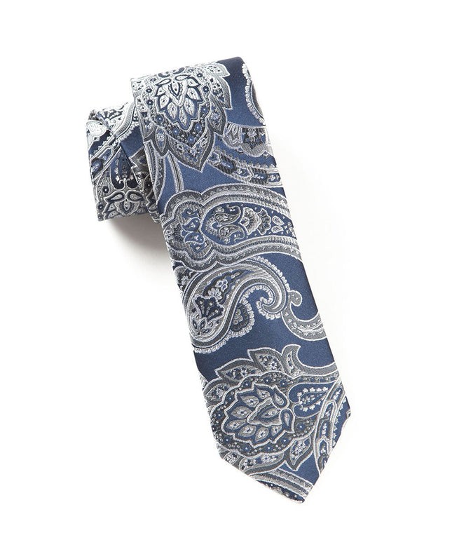 Aaron Paisley Silver Tie | Tie Bar