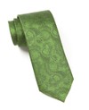 Twill Paisley Clover Green Tie