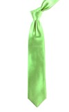 Solid Satin Apple Green Tie
