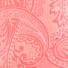 Twill Paisley Coral Tie