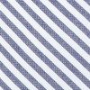 Minor Stripe Blue Tie