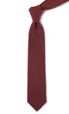 Astute Solid Burgundy Tie