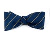 Pencil Pinstripe Navy Bow Tie