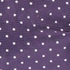 Mini Dots Eggplant Bow Tie