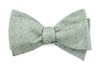 Suited Polka Dots Sage Green Bow Tie