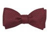 Flicker Burgundy Bow Tie