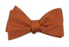 Jackson Dots Orange Bow Tie