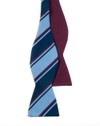 Charlotte Academy Burgundy Bow Tie