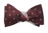 Floral Pitch Burgundy Bow Tie