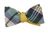 Crystal Wave Round Hunter Green Bow Tie