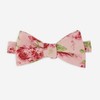 Mumu Weddings - Garden Romantic Blush Pink Bow Tie