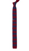 Polar Stripe Burgundy Tie