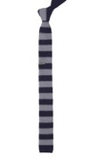 Polar Stripe Navy Tie