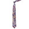 Felix And Isabelle Paisley Navy Tie