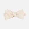 Ceremony Paisley Light Champagne Bow Tie