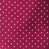 Mini Dots Burgundy Tie