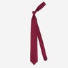 Dotted Report Burgundy Tie