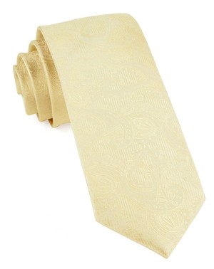 Twill Paisley Butter Tie
