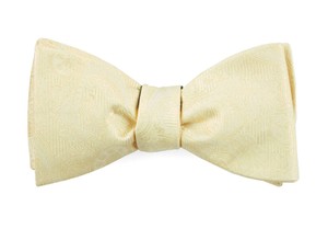 Twill Paisley Butter Bow Tie