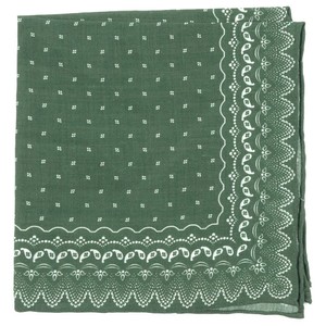 Outpost Paisley Olive Green Pocket Square