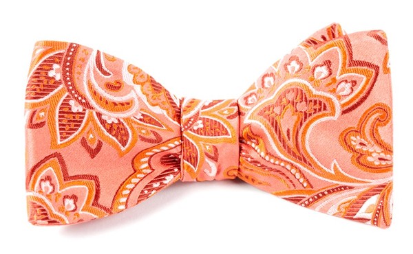 Organic Paisley Coral Bow Tie
