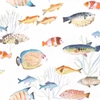 Happy Fish Multi Wallpaper
