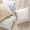 Indie Blue Indoor/Outdoor Decorative Pillow