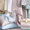 Quilted Silken Solid Robin's Egg Blue Coverlet