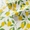 Swatch Lovely Lemons  Wallpaper