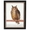 Swatch Vintage Owl Wall Art