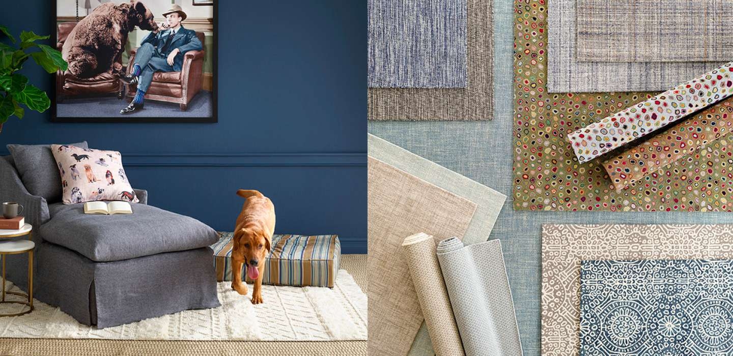 Picking the Perfect Pet Friendly Rug